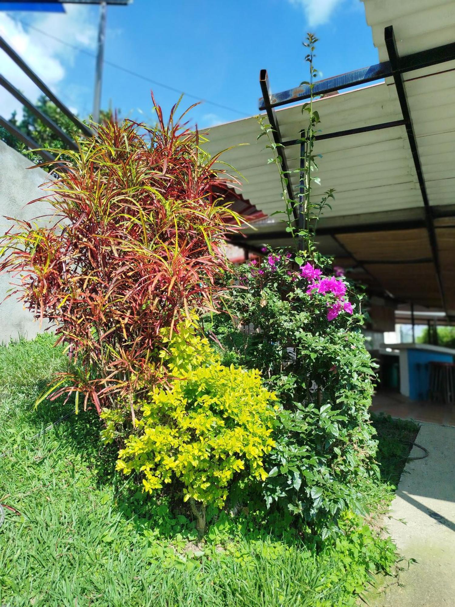 Mountain View Hostel San Peregrino Екстериор снимка